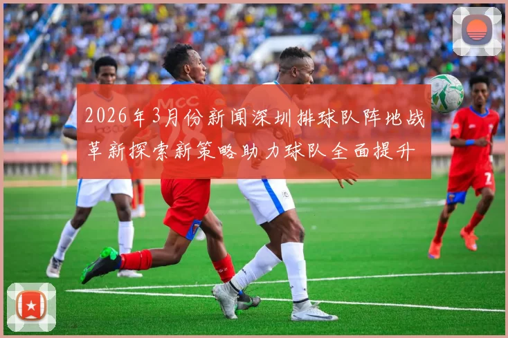 2026年3月份新闻深圳排球队阵地战革新探索新策略助力球队全面提升竞技水平